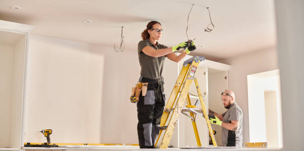 Best Electric Panel Repair  in Middleton, WI